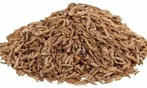 Cumin seeds texture and taste 