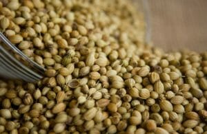 Koriandersamen coriander seeds indian spice buy spices online switzerland