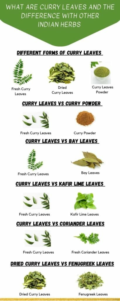 What are curry leaves and how to use them for cooking