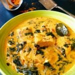 salmon fish curry in a dish