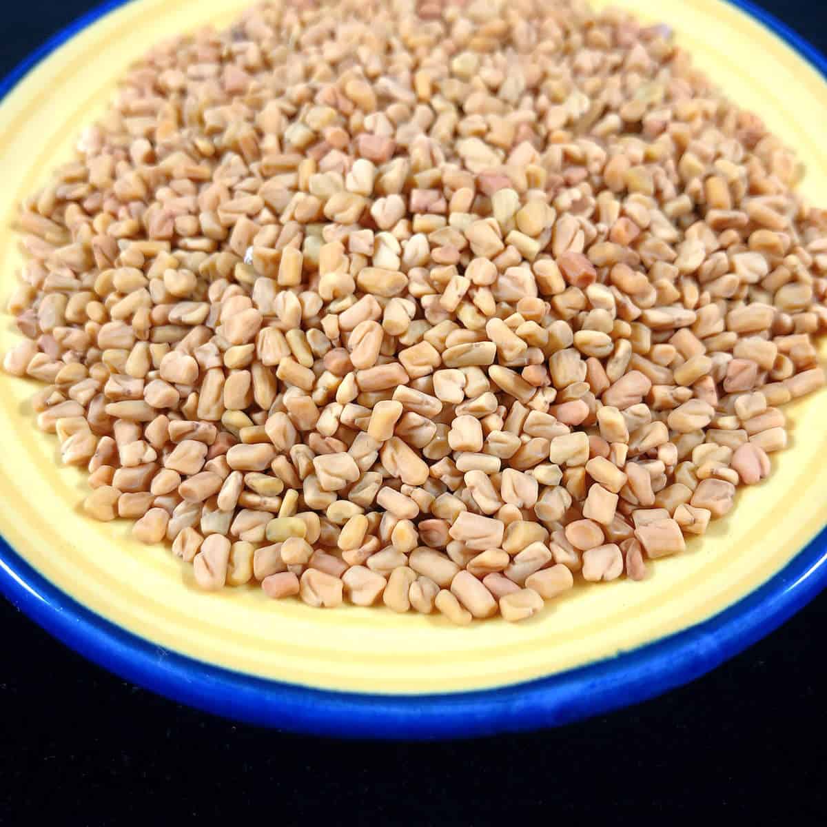 What are fenugreek seeds