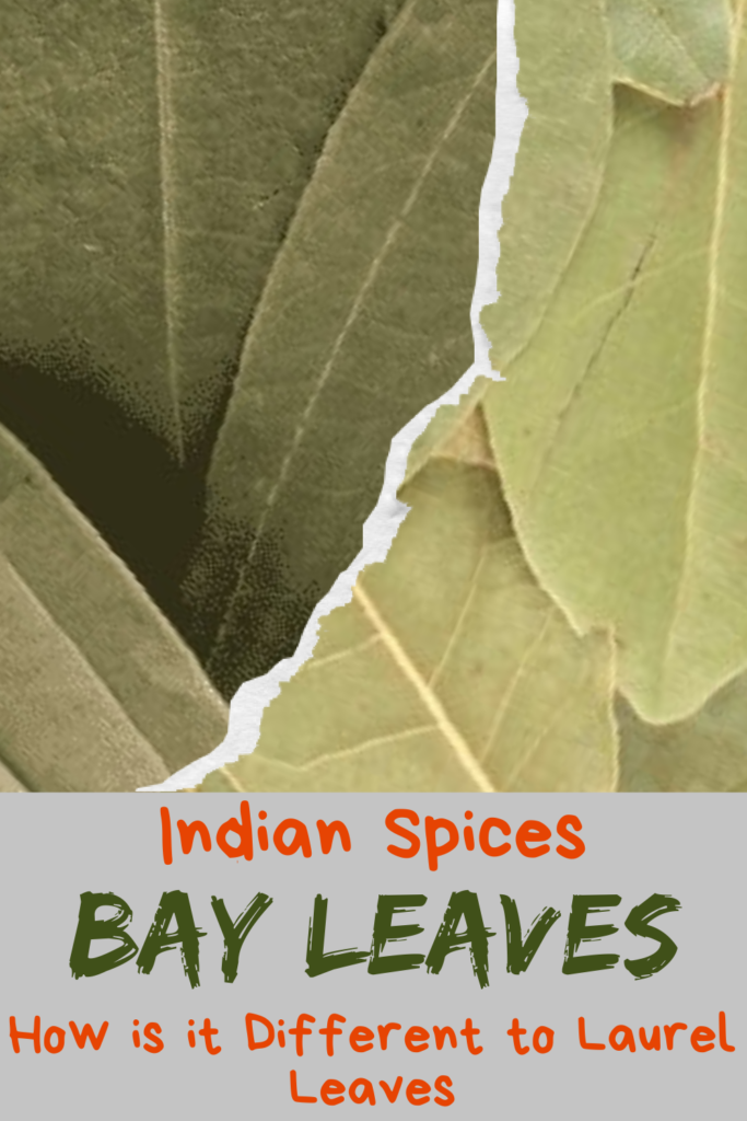What is bay leave and how to use bay leaves for cooking pinterest image.