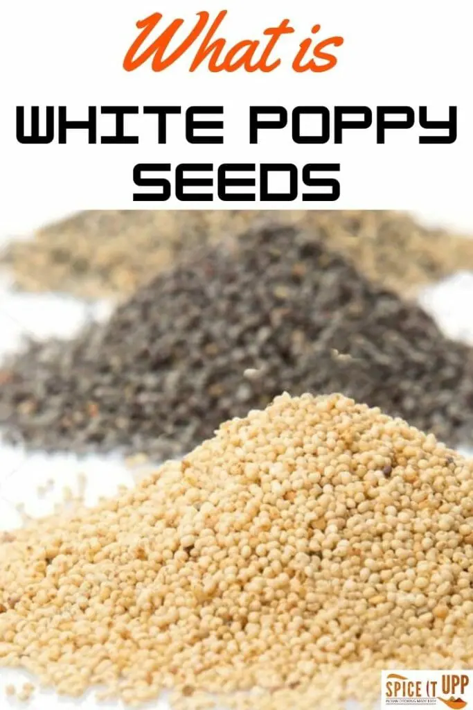 What are White poppy seeds benefits pinterest image