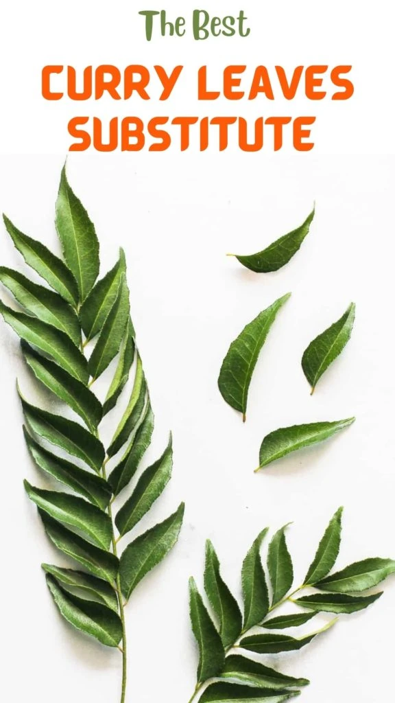 Curry leaves substitute pinterest image