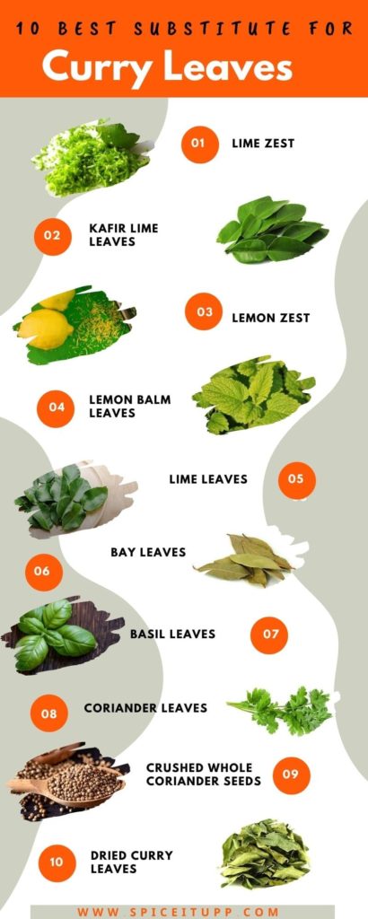 infographic on fresh curry leaves substitute