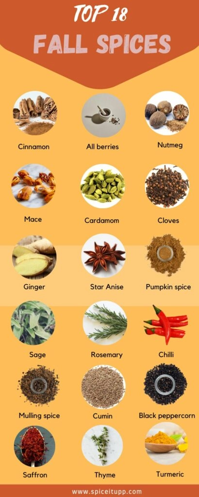 graphic of best falls spices. Pinterest image 