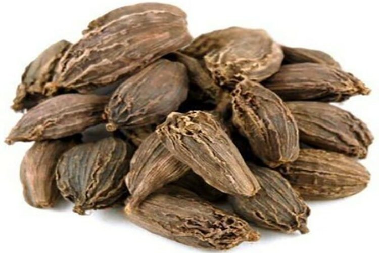 Black Cardamoom pods buy online list of indian spices